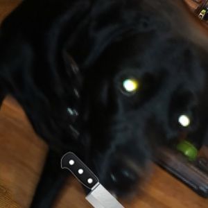 Meet your Posher, Hayden